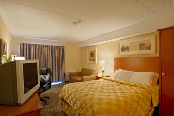 Comfort Inn Kapuskasing Rum bild